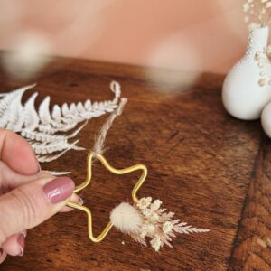 Mini Etoile - Modèles divers