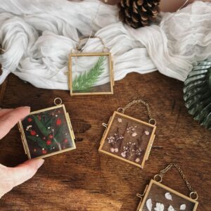 Mini herbier - 4 modèles uniques