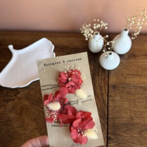 Epingles à cheveux rouge et blanc