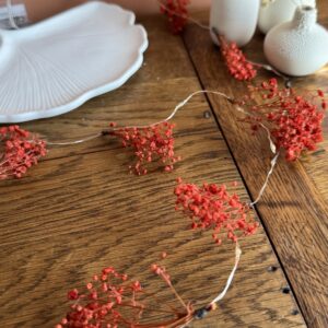 Guirlande lumineuse rouge
